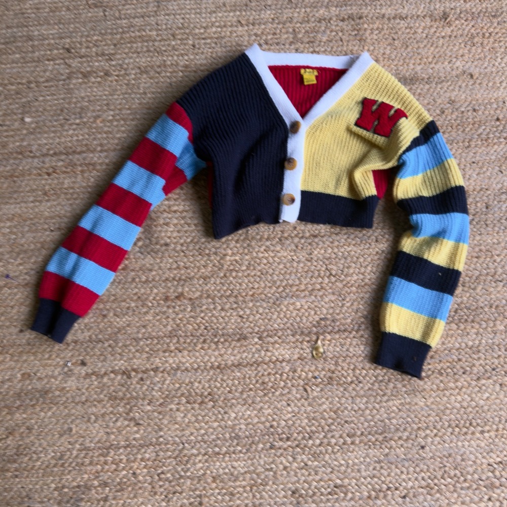 Daisy Colorblock Cropped Cardigan Varsity W Ribbed Knit Sweater Small Academia